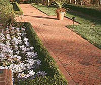 clay brick paver walkway cleaning