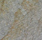 quartzite stone flooring